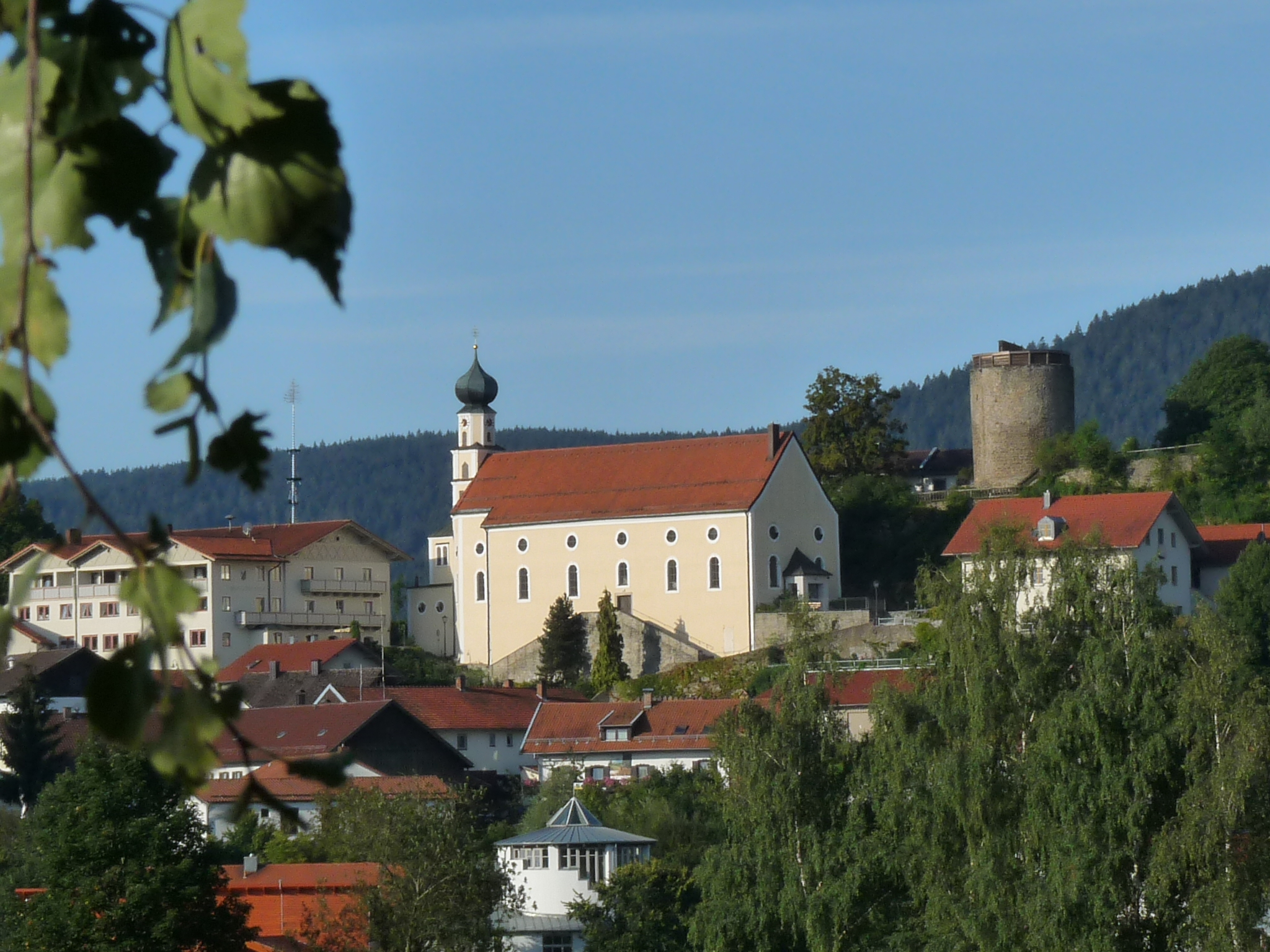 Frauen Viechtach