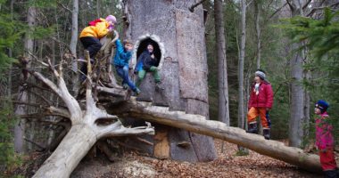 Kinder im Waldspielgelände