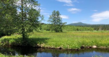 Blick zum Bayerwaldkamm, Foto Peter Auerbeck