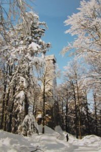 Ausichtsturm-im-Winter-Quelle-TI-Schoefweg