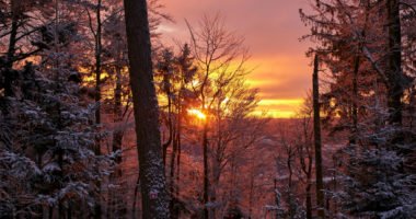 Winter_Hennenkobel (6) ©Touristinfo Bodenmais