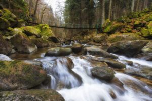 Wildbachklamm Buchberger Leite