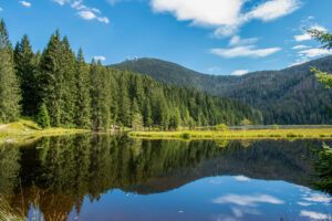 Spiegelbild Kleiner Arbersee