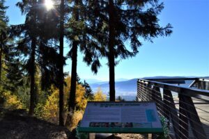 Skywalk bei Arnbruck