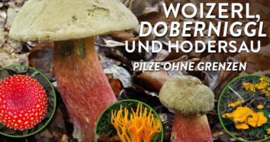 Erlebnisse zum Ferienende