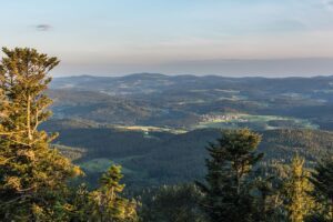 stadt_zwiesel_Wandern_Hennenkobel
