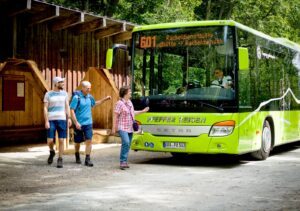 Racheligelbus Foto Daniela Blöchinger