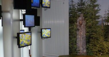 Nationalpark und Igelbusse machen Pause