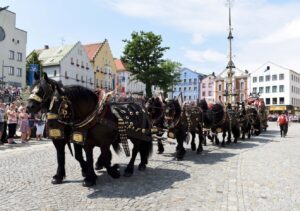 Pichelsteinerfest-1084_Saller_Fine_Arts_Freie_Photographie